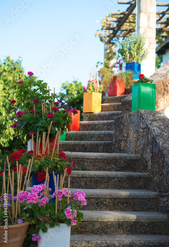 Stone stairs with flowers in front of house entrance.