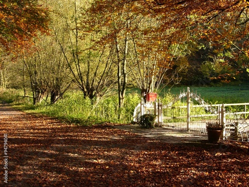 Hoftor im Schopketal am Menkhauser Bach im Herbst bei Sonnenschein in Oerlinghausen bei Bielefeld am Hermannsweg im Teutoburger Wald in Ostwestfalen-Lippe photo