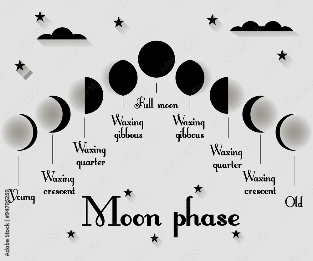 The phases of the moon. Vector illustration.