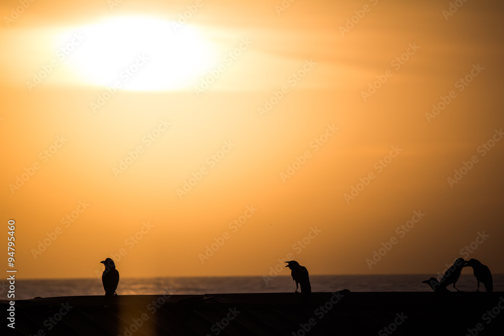 Vögel auf Dach, Sonnenuntergang