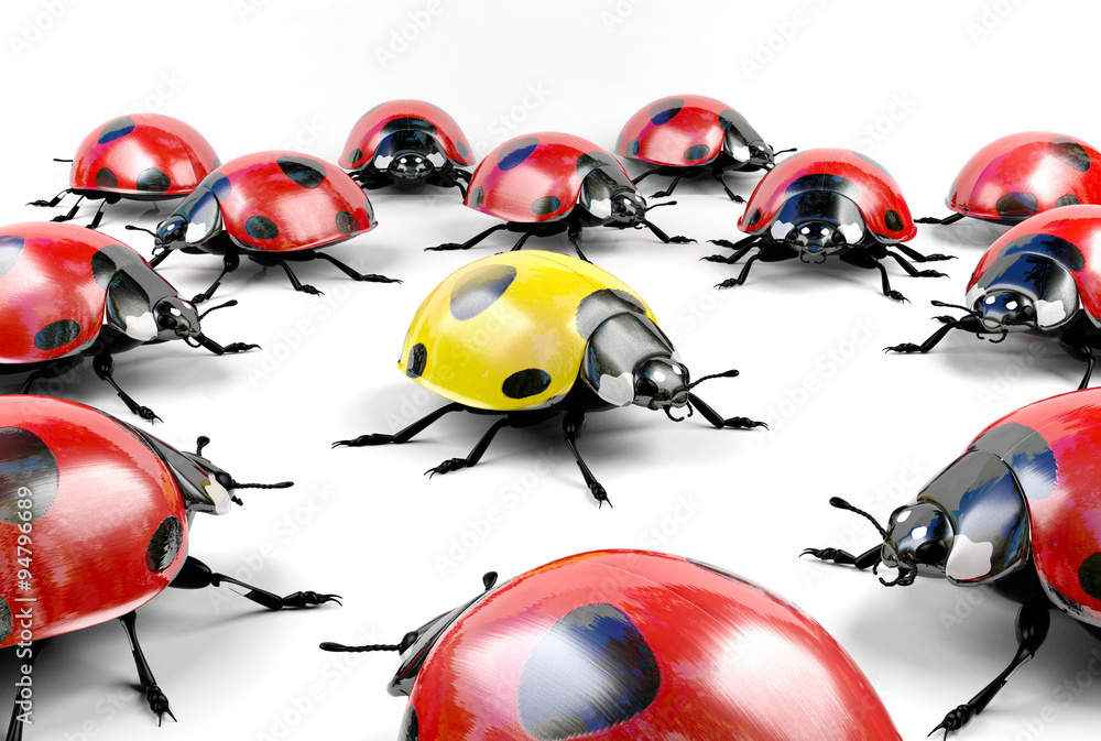Obraz premium Yellow ladybug surrounded by group of red ladybugs, stock image representing unacceptable, different, underdog, mutant concept