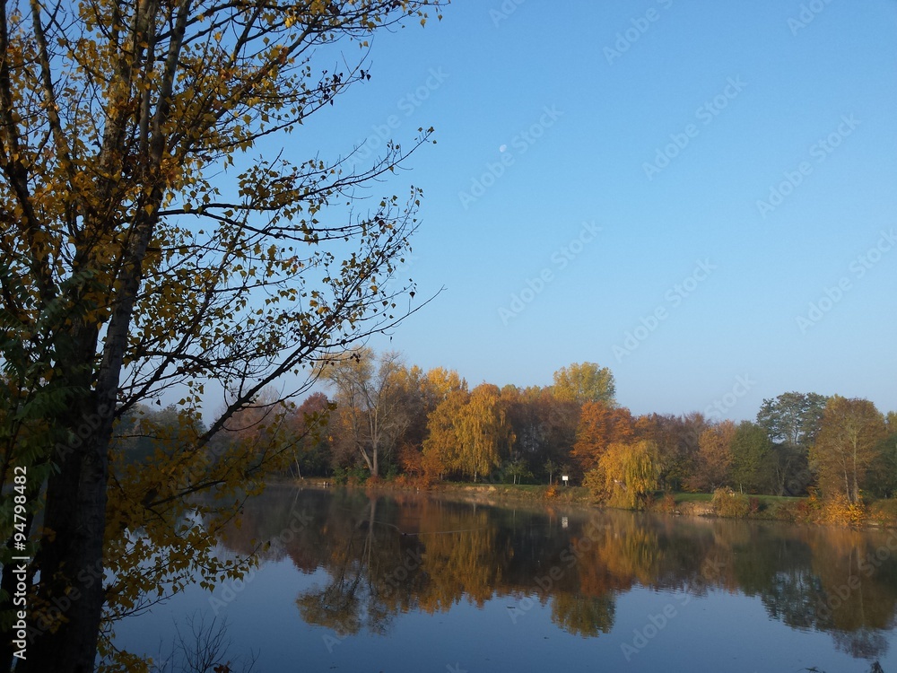 Bäume in Herbstfärbung spiegeln sich im See
