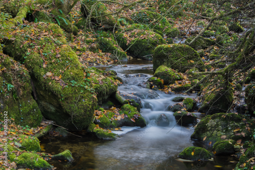 Wasser Wasser