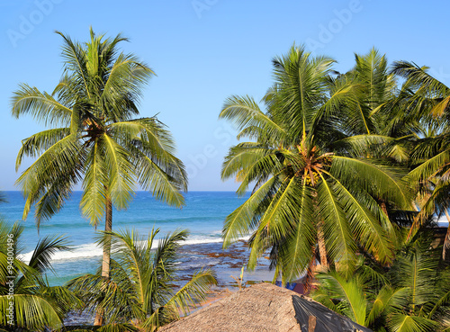 sea landscape with palm leaves on foreground