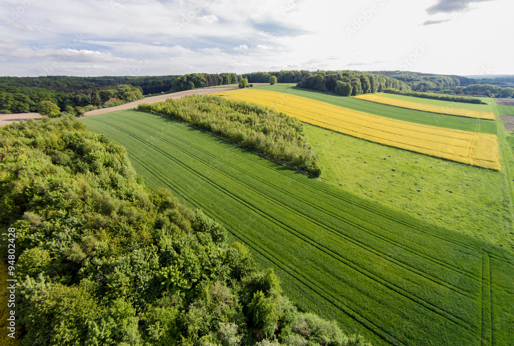 Luftbild - Kulturlandschaft, Getreide- und Rapsfelder aus Vogelperspektive Luftbild - Kulturlandschaft, Getreide- und Rapsfelder aus Vogelperspektive