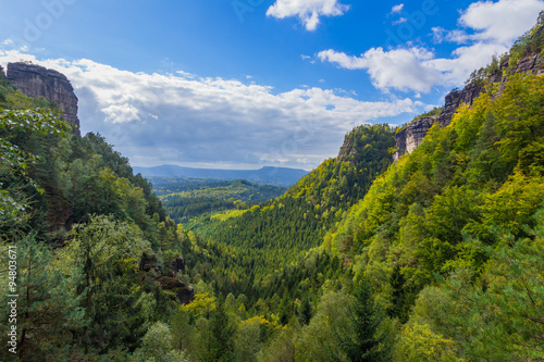 Принти на полотні The virgin forest of the fresh green