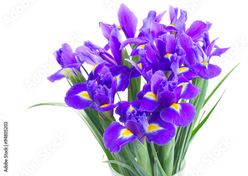 Fototapeta Naklejka Na Ścianę i Meble -  spring blue irises