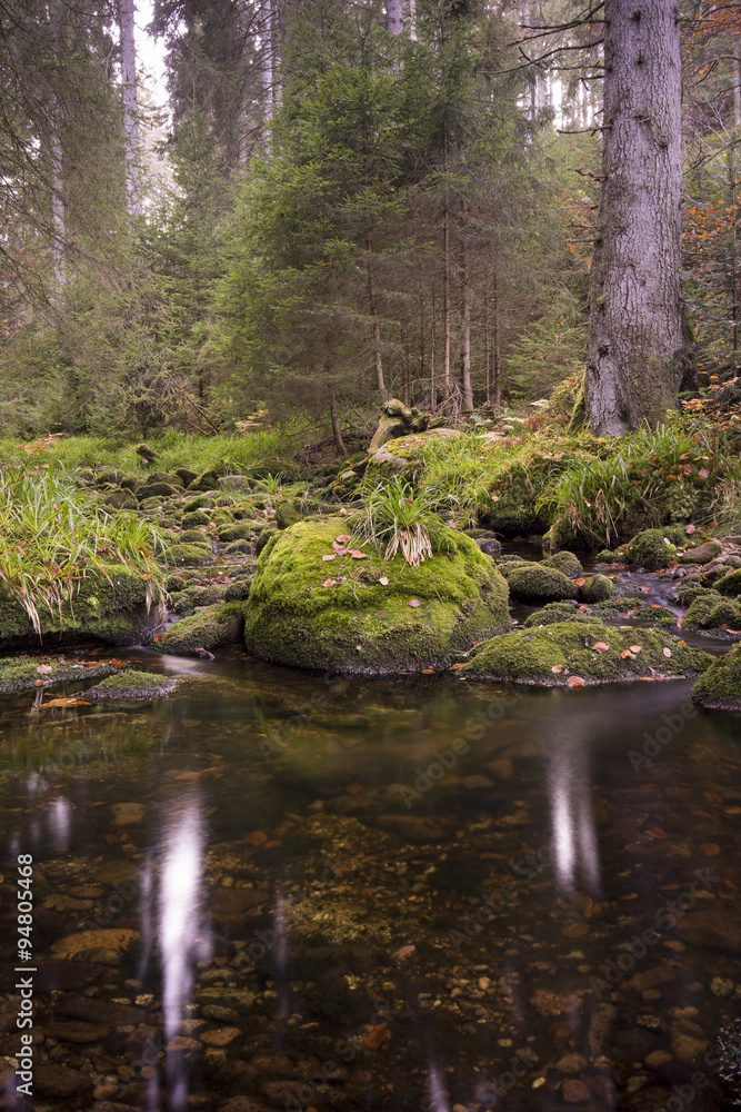 Einsamer Wildbach im Schwarzwald Einsamer Wildbach im Schwarzwald