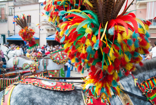 Typical ornaments on the horse a of sicilian cart made of colored plumage