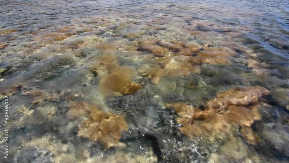 Shallow water ripples over coral reef Shallow water ripples over coral reef