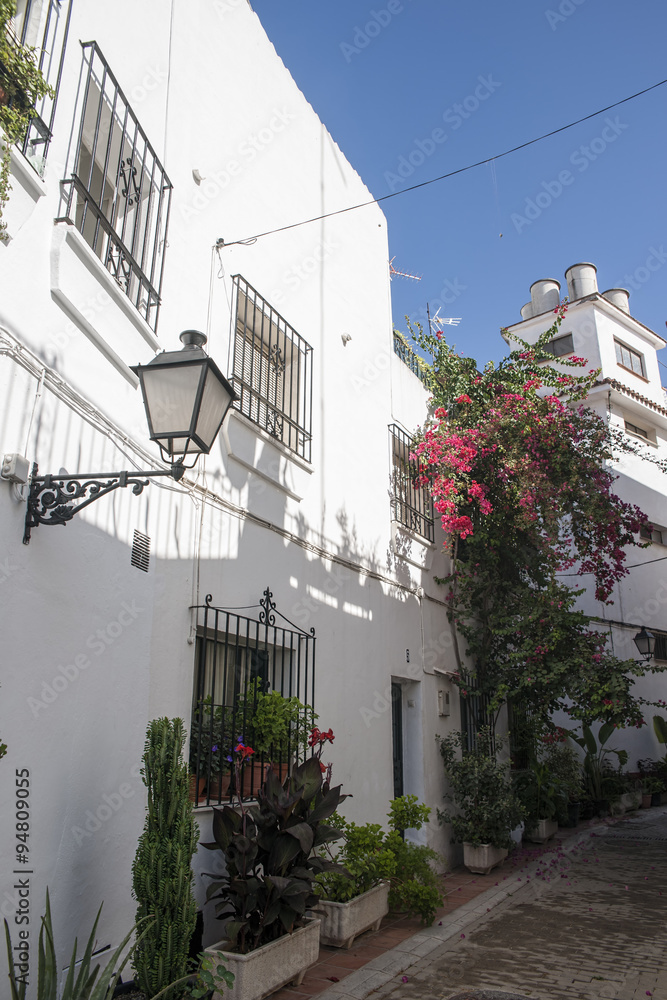 calles del pueblo de Marbella adornada de plantas y flores