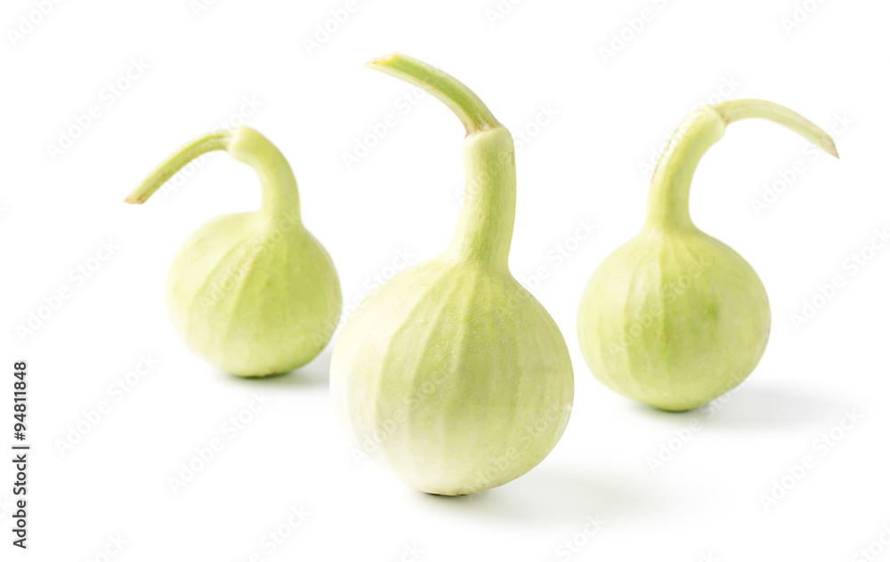 Obraz premium bottle gourd fruit isolated