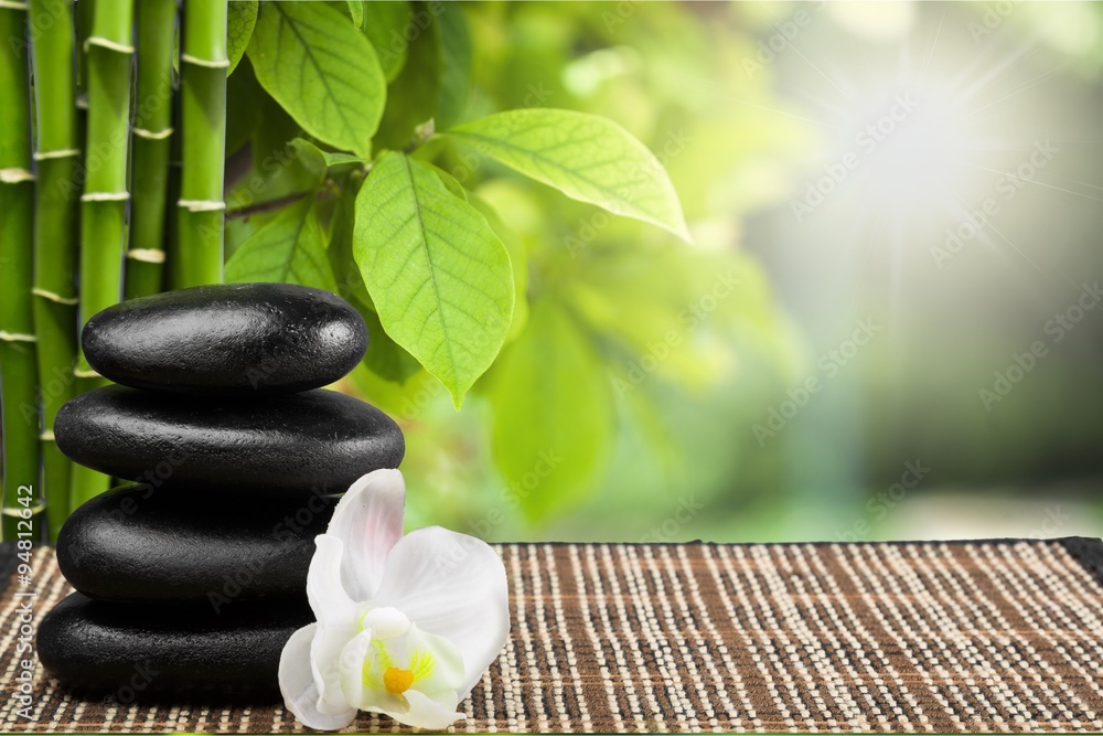 Obraz premium Bamboo.