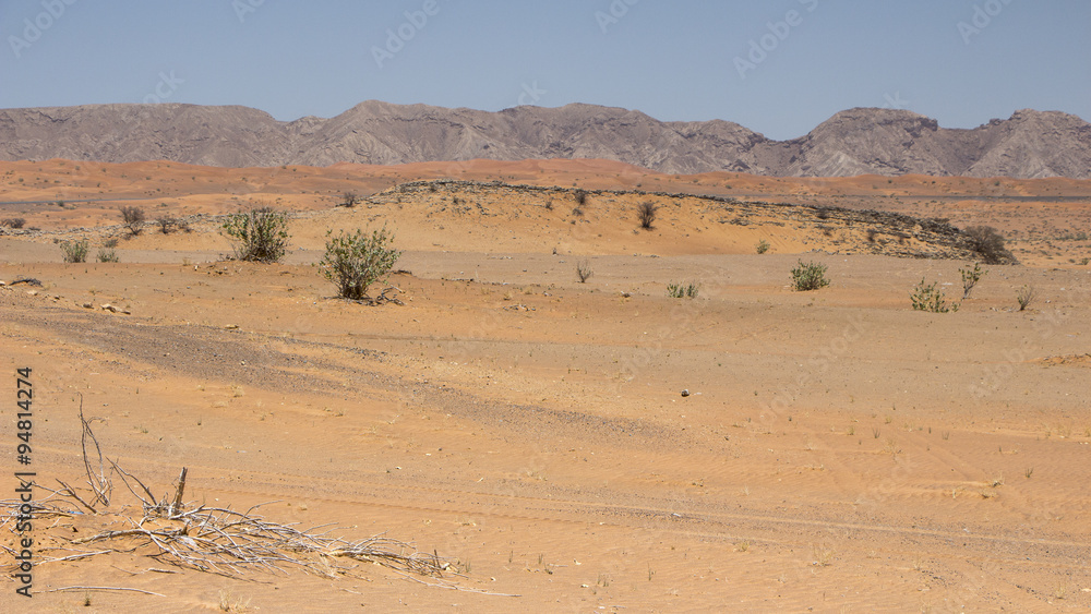 desert near Dubai
