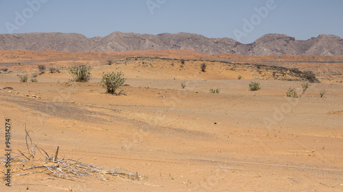 desert near Dubai