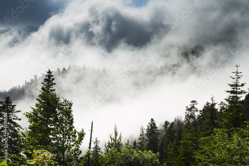 Mist in the Lesser Caucasus
