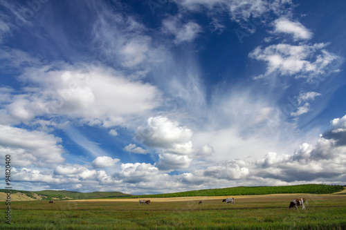 Olkhonsky landscape