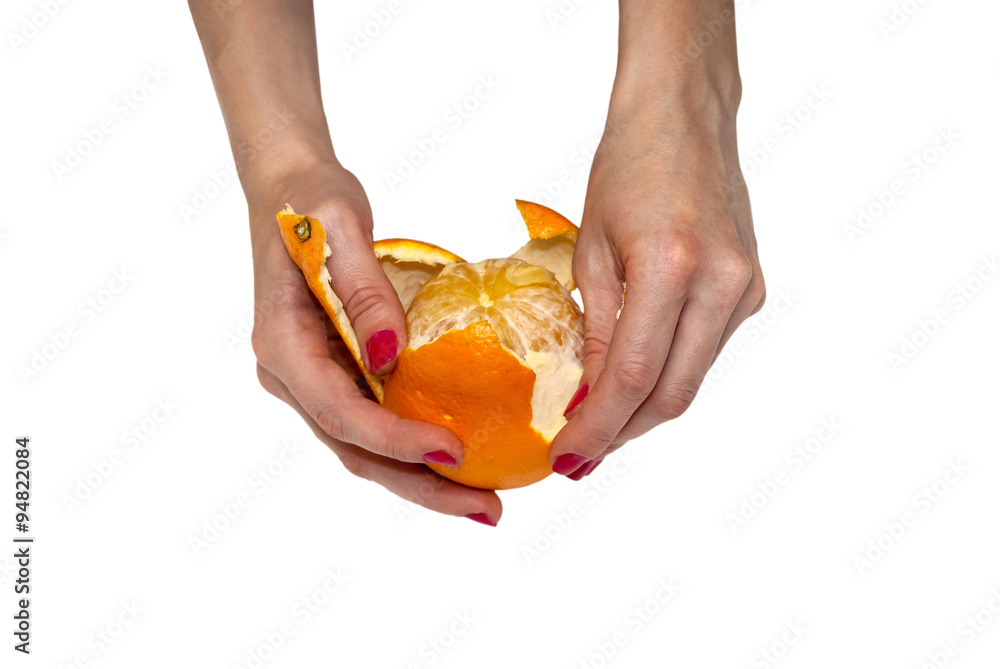 Women's hands with orange on white background Women's hands with orange on white background
