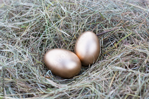 Golden egg in a nest of hay.