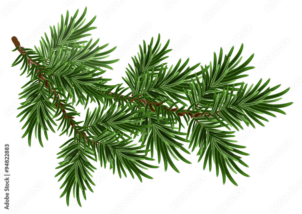 Fur-tree branch. Green fluffy pine branch - obrazy, fototapety, plakaty 