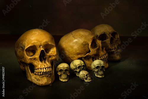 Still life painting photography with human skulls