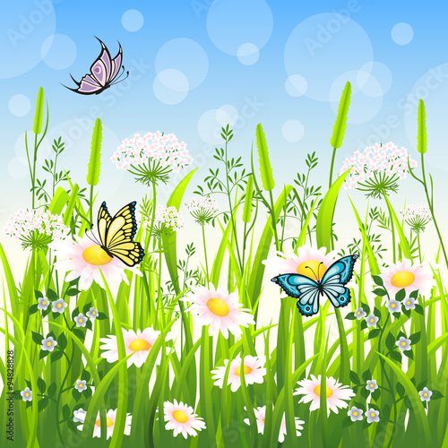 Fototapeta Naklejka Na Ścianę i Meble -  Flower meadow in summer with butterfly