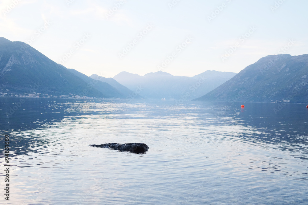 Landscape with the image of sea and mountains in Kotor, Montenegro