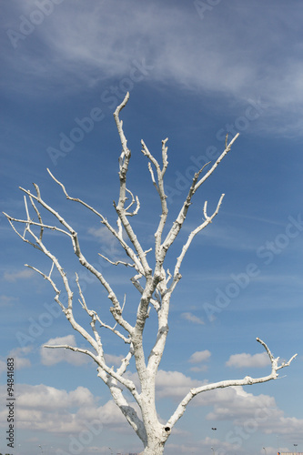 white washed tree and clouds, Istanbul, Turkey
