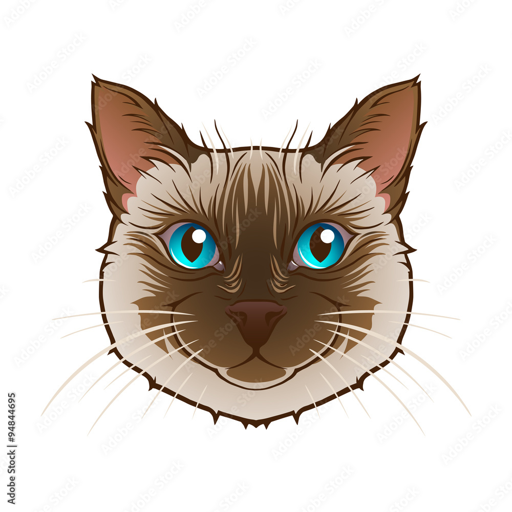 Fototapeta premium Cat head