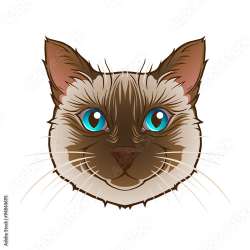 Cat head