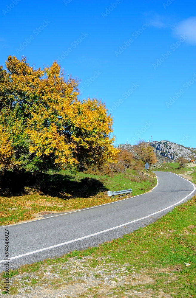 Strada di montagna in autunno