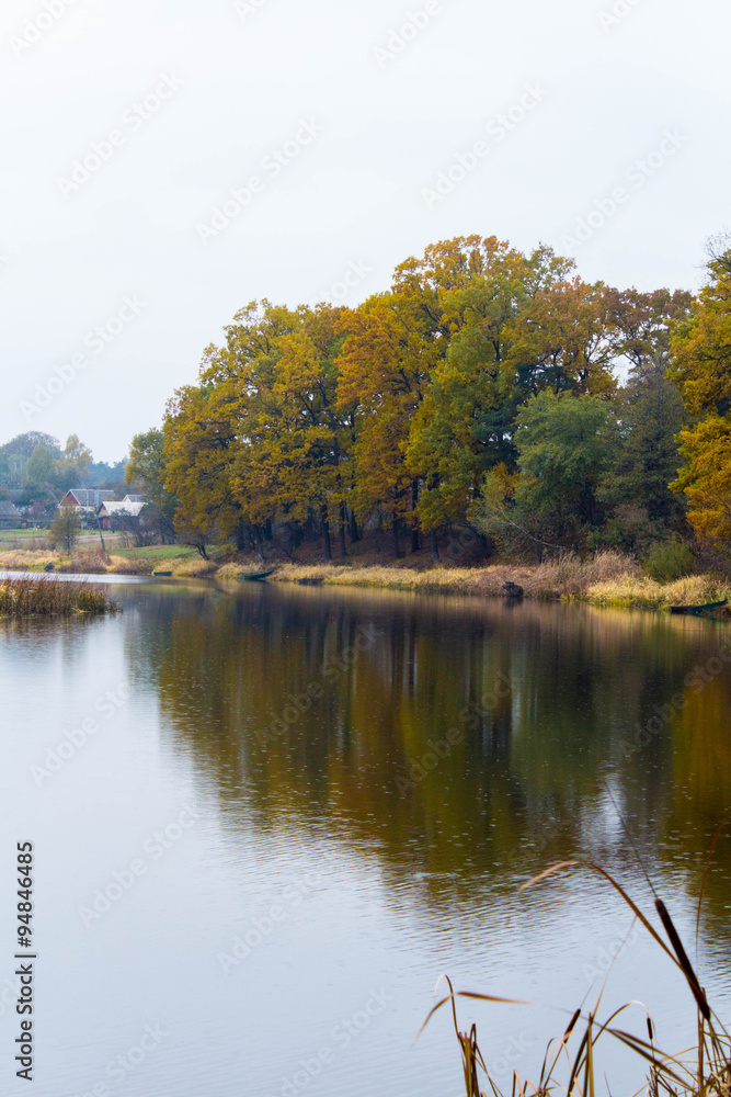 Река в деревне