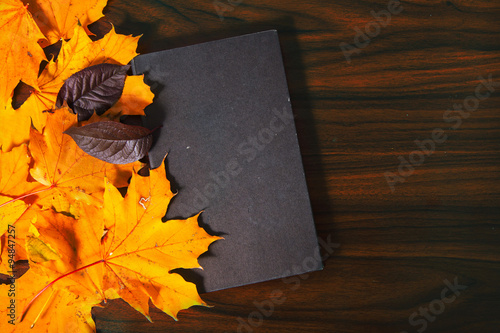 Old black book on the table among yellow leafs photo