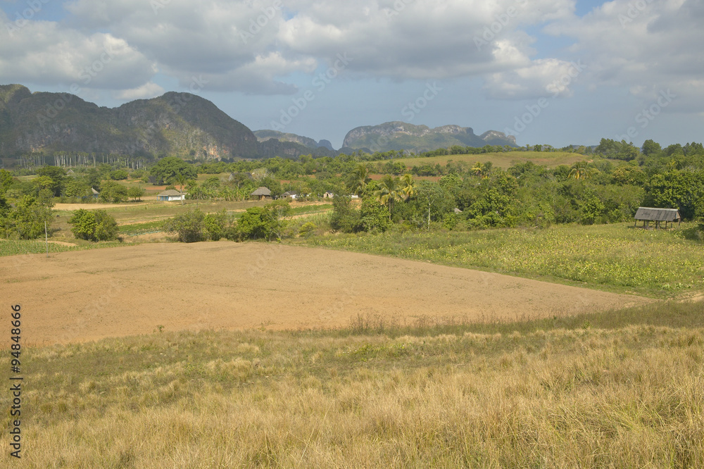 Farm field in the Valle de Vi–ales, in central Cuba