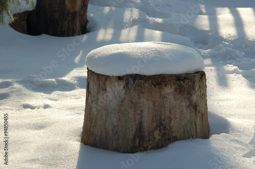 Tree under snow © Green_beat