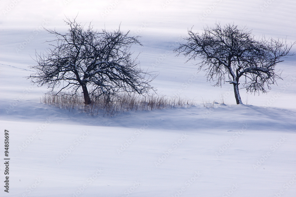 Fototapeta premium Winterzeit