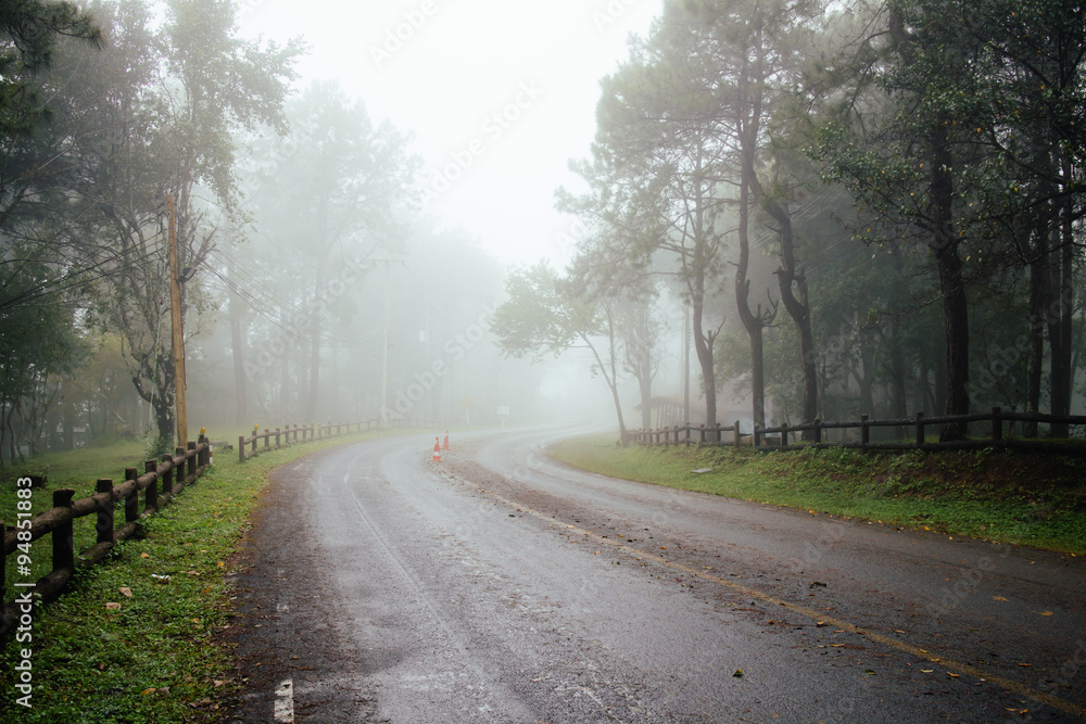 Road through forest with fog and misty Road through forest with fog and misty