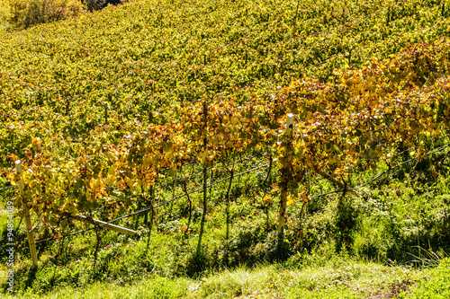 Herbst in Villnoesstal photo