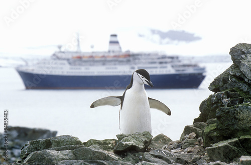 Cruise ship Marco Polo and Chinstrap penguin (Pygoscelis antarctica) at Half Moon Island, Bransfield Strait, Antarctica photo