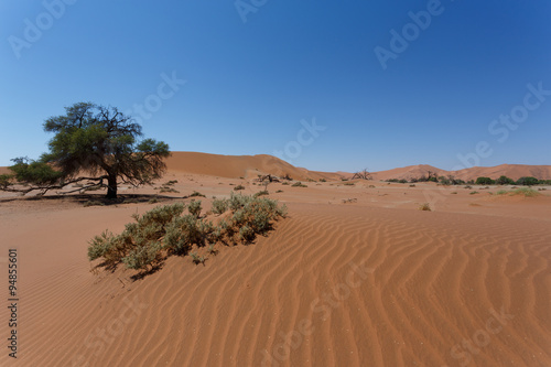 beautiful sunrise landscape of hidden Dead Vlei