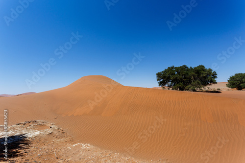 beautiful sunrise landscape of hidden Dead Vlei