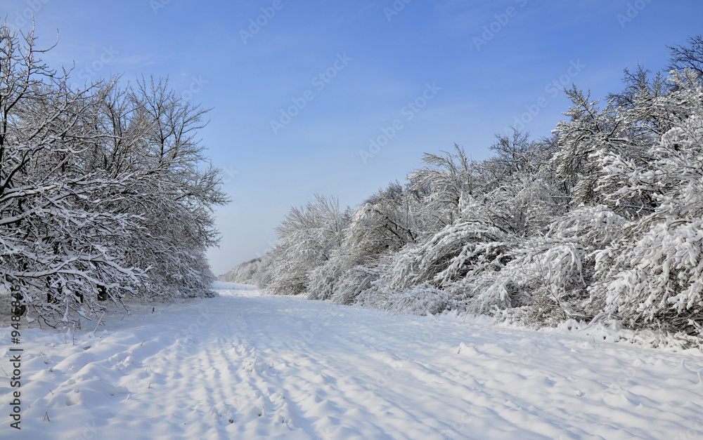 Winter landscape - a country road through trees covered with snow Winter landscape - a country road through trees covered with snow