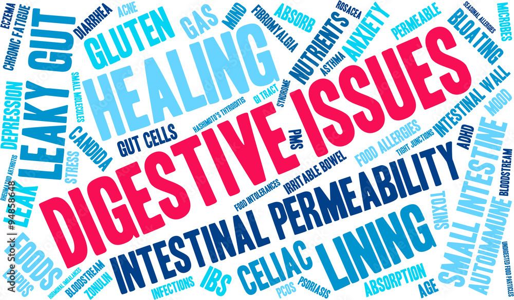 Digestive Issues word cloud on a white background. Digestive Issues word cloud on a white background.