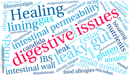 Digestive Issues word cloud on a white background. 