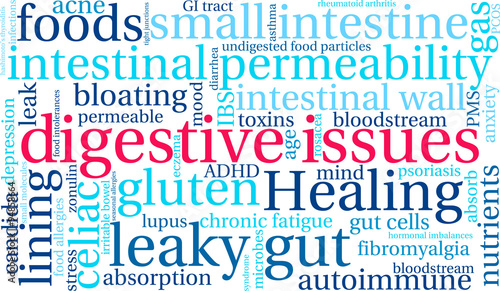 Digestive Issues word cloud on a white background. 