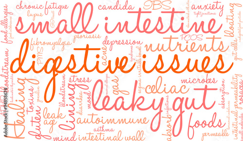 Digestive Issues word cloud on a white background. 