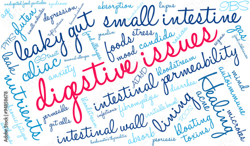 Digestive Issues word cloud on a white background. 