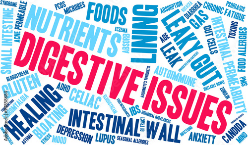 Digestive Issues word cloud on a white background. 