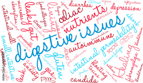 Digestive Issues word cloud on a white background. 