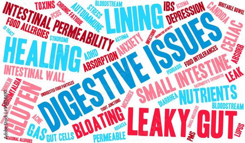 Digestive Issues word cloud on a white background. 